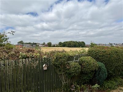 Picture 29